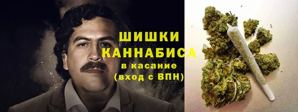шишки Аркадак
