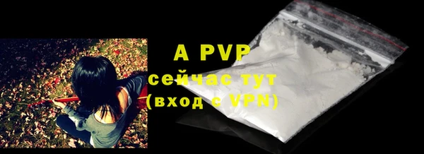шишки Аркадак