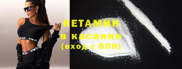 шишки Аркадак