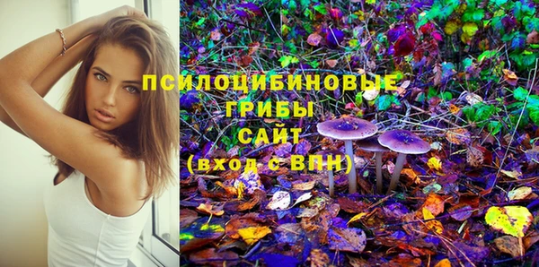 шишки Аркадак