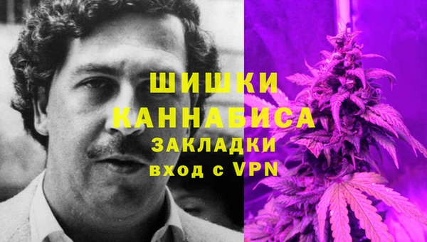шишки Аркадак