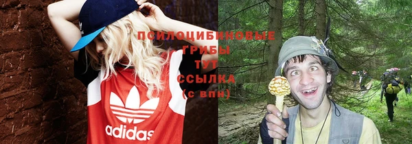 шишки Аркадак